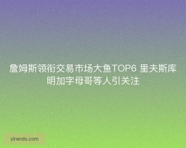 詹姆斯领衔交易市场大鱼TOP6 里夫斯库明加字母哥等人引关注